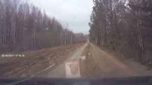 дорога от маромицы до зари Опаринский р-н