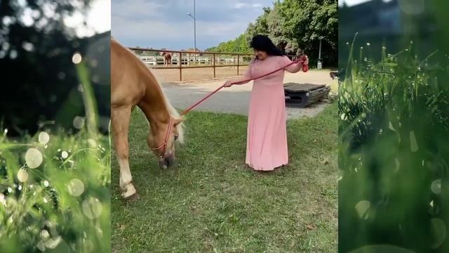 «Жаркий день «Музыка Сергея Чекалина. #музыкадлядуши #сергейчекалин #relaxingmusic #