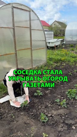 Зачем соседка стала укрывать огород газетами