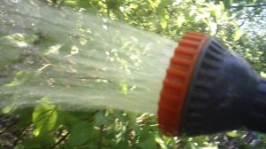 Послушание родителям: полив саженцев ЗКС 1 мая