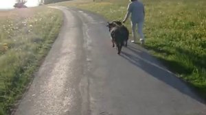 Надя Чиприани (родилась в Риме) с козами в сельской местности