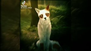 подборка из тик тока анимация WildCraft