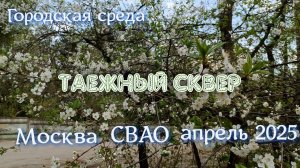 Городская среда | Сквер Таежный | Москва в апреле 2025