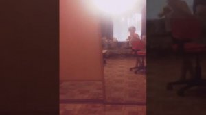 Перекрас лошади