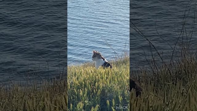 Прогулка моими глазами) Анапа🔆 смотреть онлайн