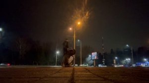 Результат обучения на курсе "Искусство позитивной дрессировки"