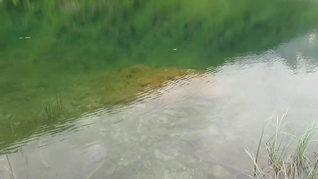 Красоты Кавказа