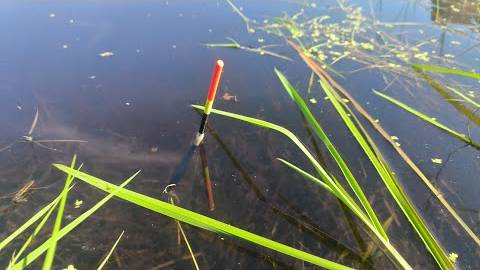 РЫБАЛКА НА ПОПЛАВОК В КОНЦЕ АПРЕЛЯ.ОТЛИЧНЫЙ КЛЁВ. смотреть онлайн