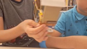 обзор с братом