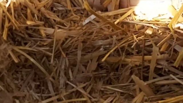 Hayaldi Gerçek Oldu üretim devam ediyor смотреть онлайн