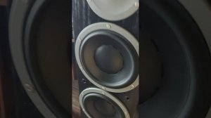 Dynaudio Focus 260.mp4