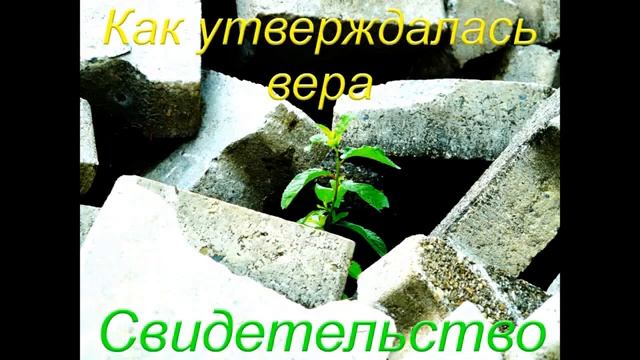 Как утверждалась вера Свидетельство П Е Эргардт МСЦ ЕХБ ПРОПОВЕДЬ 2020 смотреть онлайн