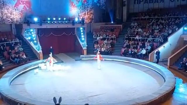 Луганськ Цирк 2023