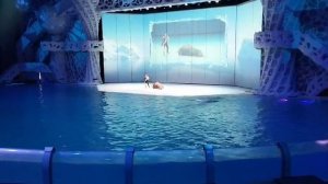 VID-20250418-WA0013.mp4