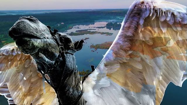 🐫🐫🐫 Куда Летят Верблюды смотреть онлайн