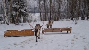 Маме на ДР (2023)