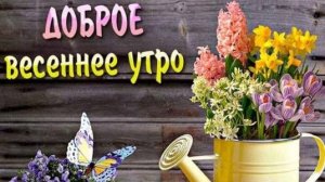 С добрым весенним утром!