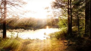 FL Studio — В мире чистой красоты — Оркестровая музыка — #оркестр