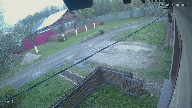 дорожный вредитель 2