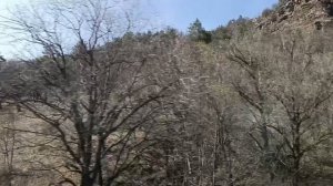 И ЭТО ВСЁ КАВКАЗ!