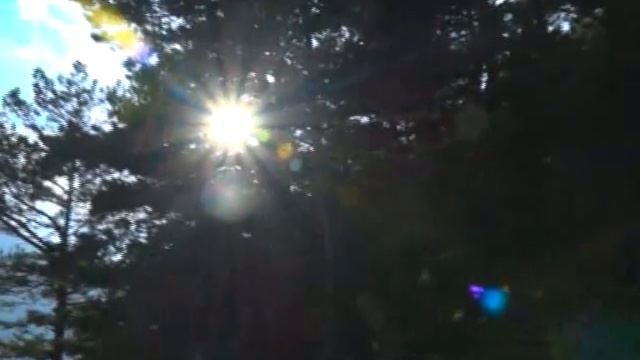 Хамици зар смотреть онлайн