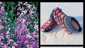 17. МК# "МАТТИОЛА " #Вяжу красивые следочки с веерами на двух спицах без швов