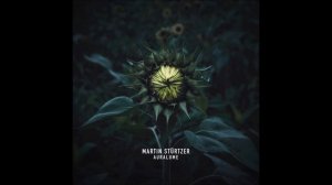 Martin Stürtzer - Veridion