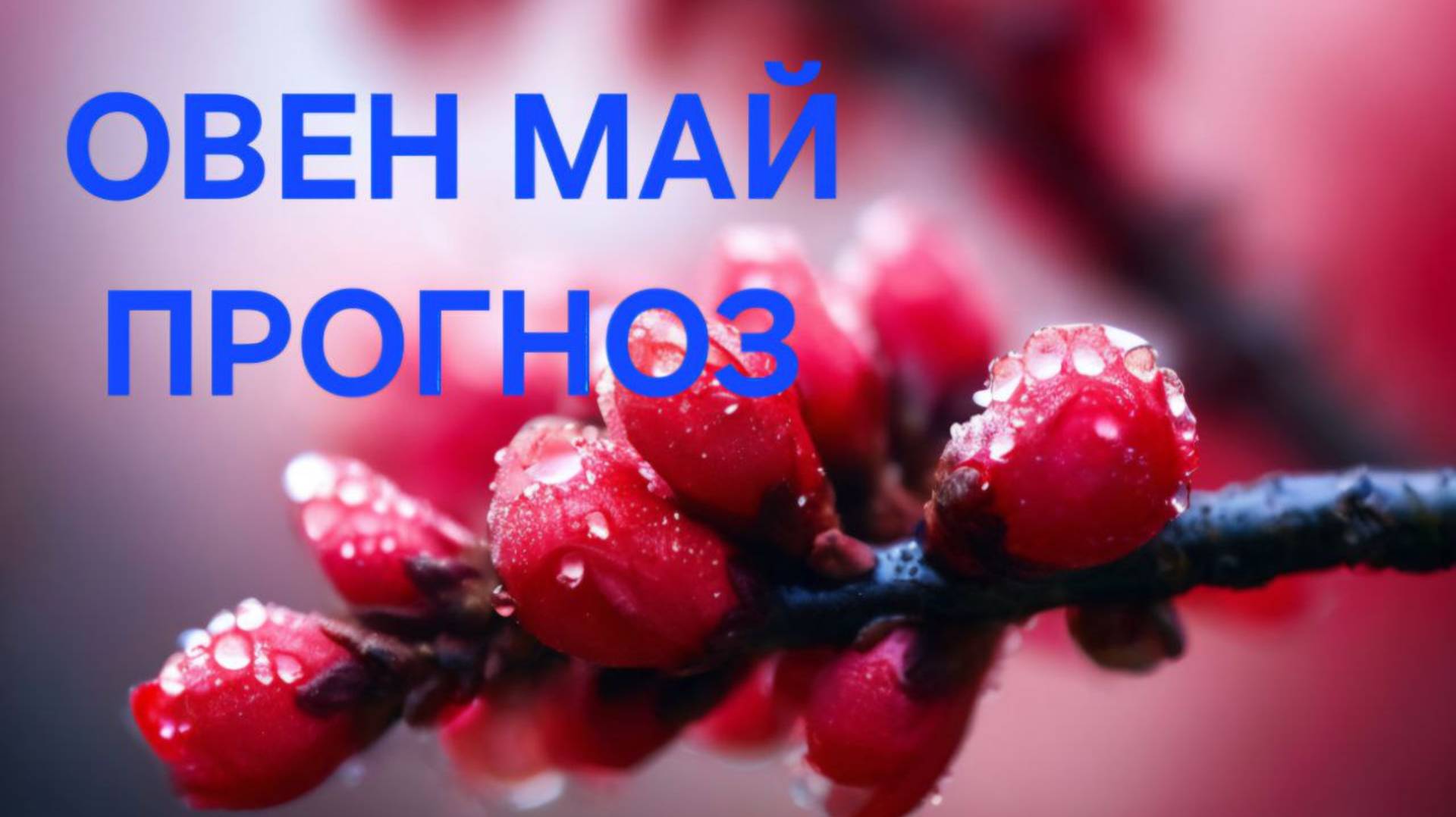 ОВЕН. ТАРО ПРОГНОЗ НА МАЙ
