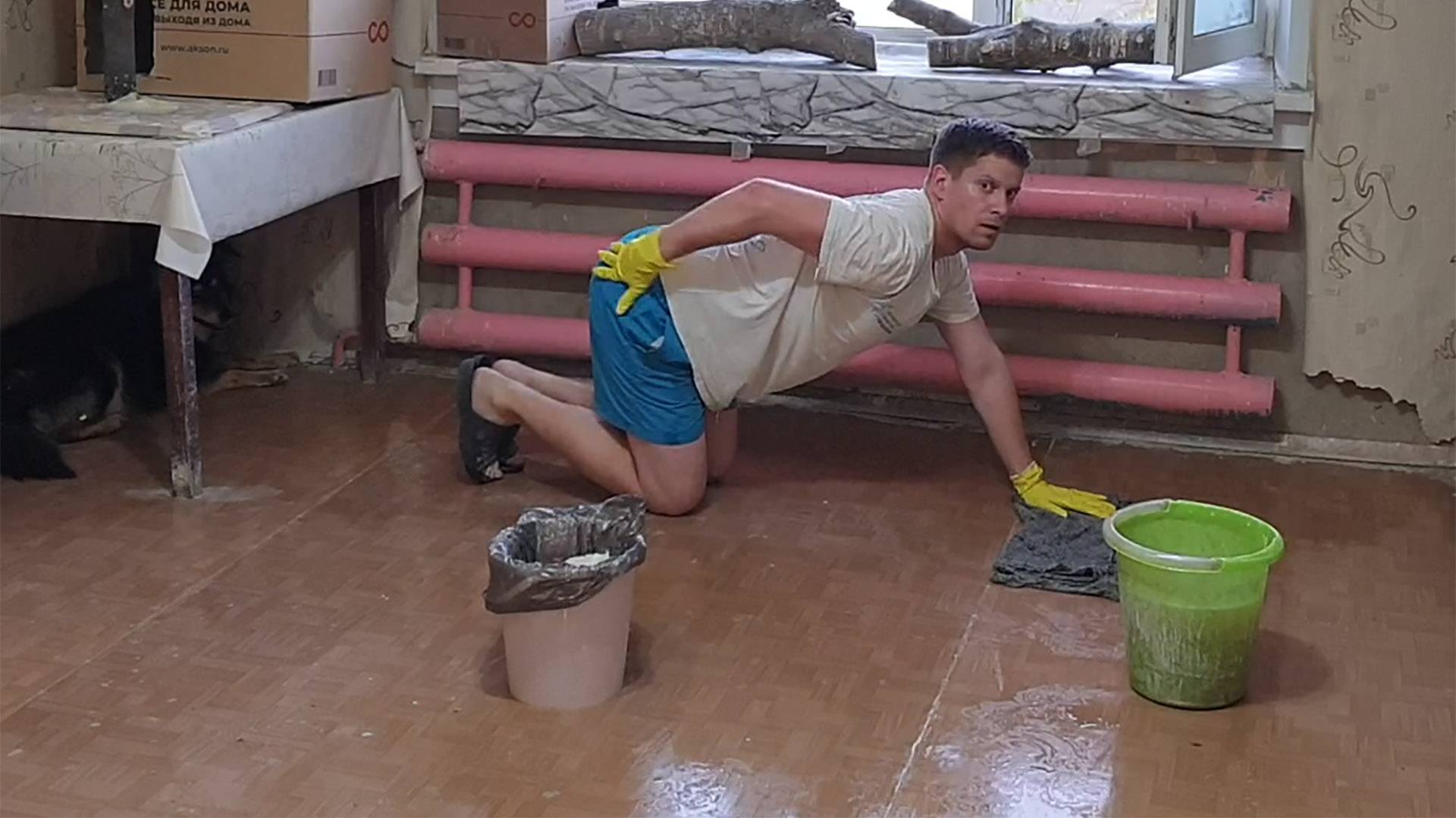 Заставил Антона убираться в курятнике, а сам пошёл отдыхать смотреть онлайн