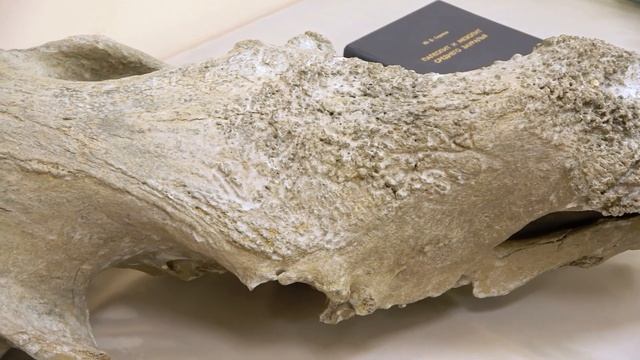 ВЕСТИ КГО от 03 02 2023 смотреть онлайн