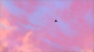 Miku Hatsune - Though My Song Has No Form 4K