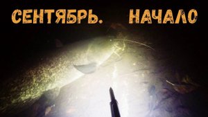 Подводная охота - Сентябрь. Начало
