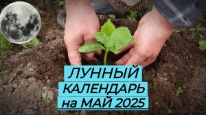 Лунный Посевной Календарь Садовода и Огородника на Май 2025