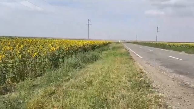 Патриотический штаб Победа поздравляет всех с Днем Ставропольского края смотреть онлайн