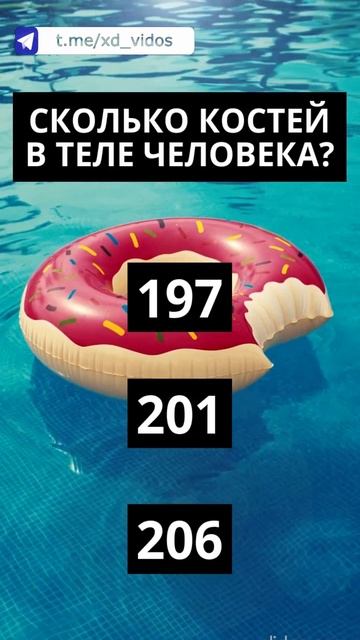 Сколько костей в теле человека? #тесты для всех #эрудиция #викторина #вопросы #shorts