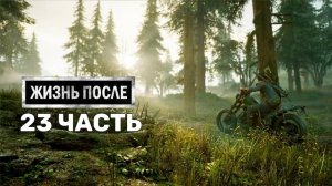 Жизнь После Days Gone-23-Полное прохождение JoystickGame#Без комментариев#60FPS