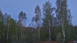 Подготовка к празднику. Пеку торт Медовик для мамы. Как все успеть Жизнь семьи в деревне.