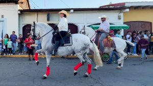День Коня и красивых девушек