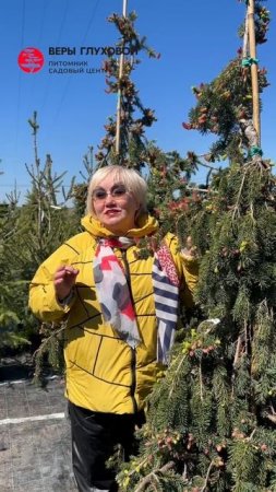 С праздником весны и труда