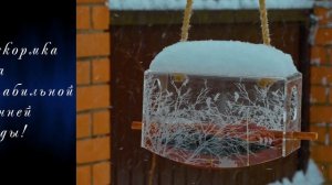 Кормушка для птиц подвесная Ковчег-терем с гравировкой https://art-kormushka.ru/market/kormushki/