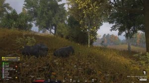 Колонна американской бронетехники берет укреп за укрепом противника в игре SQUAD
