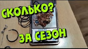 СКОЛЬКО ЗОЛОТА И СЕРЕБРА за сезон с металлоискателем