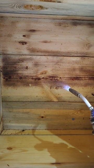 Обжиг улья пасека пчеловодство пчелы new shorts корольишут киш