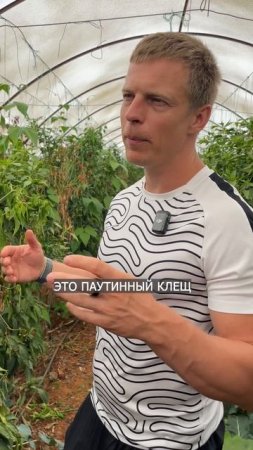 УГРОЗА №1 ДЛЯ 5000 ПЕРЦЕВ 🇹🇷