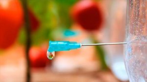 🌱 Капельный полив из пластиковой бутылки своими руками – просто и бесплатно!