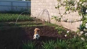 немного  позитива🤗