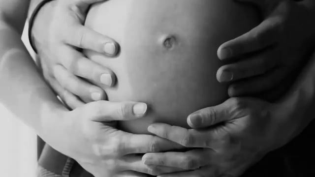 Максимизатор