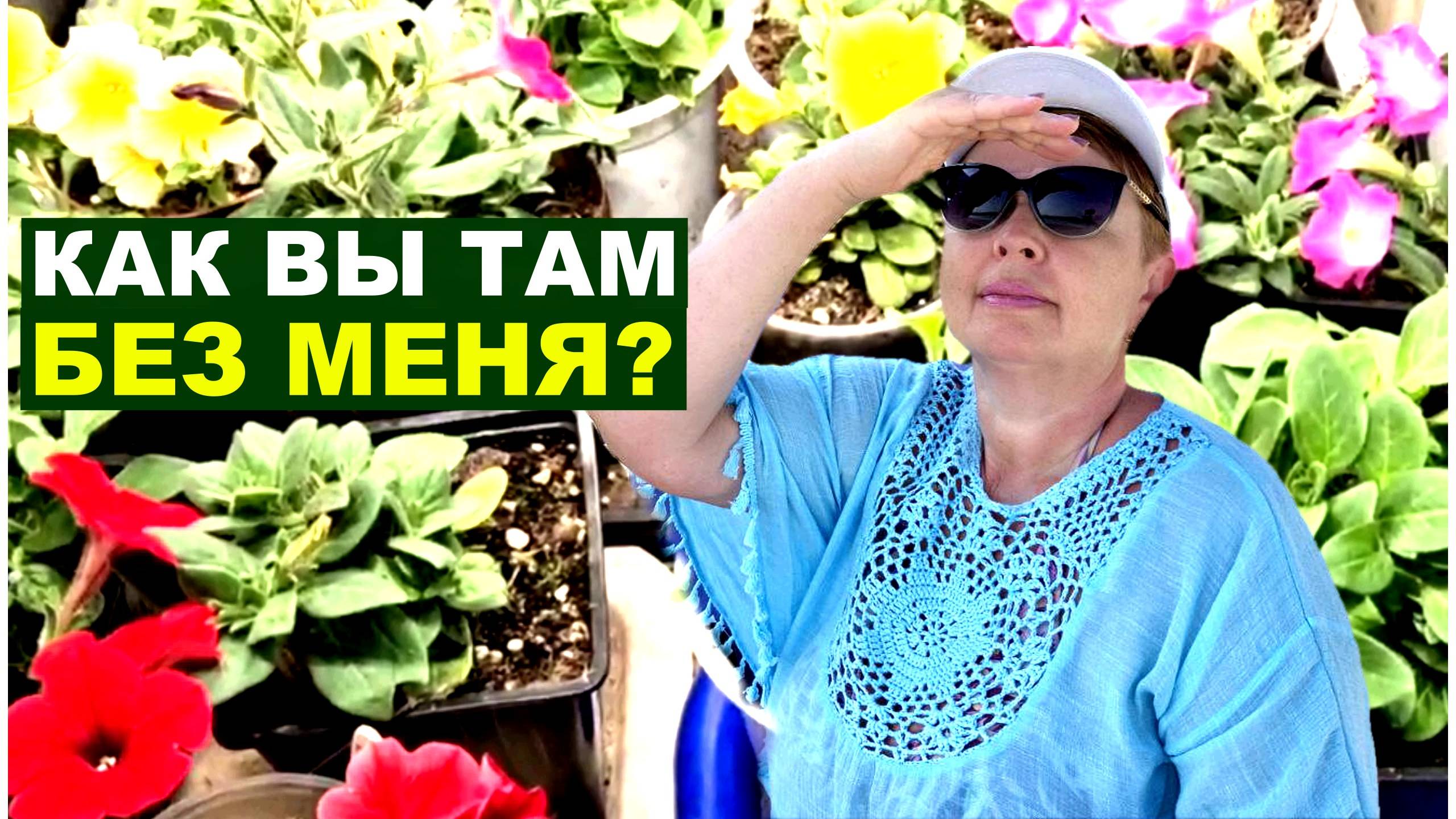 Бросила растения и уехала в отпуск. А тут мороз, снег, холод, одни переживания. Приехала и...
