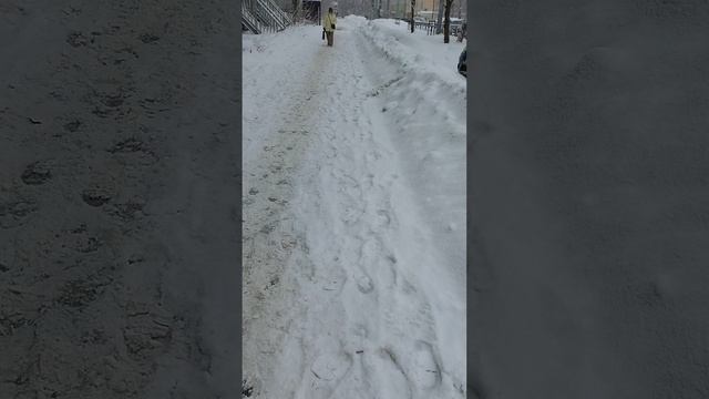 10 марта 2025 г., 10:08:57
ул. Полины Осипенко
VID_20250310_100716093