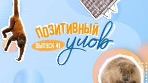 Помощь животным и майские застолья обезьян. "Позитивный улов"